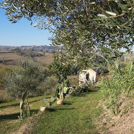 La Luna Nell'Orto-Casa Vacanza Ecologica E Agricoltura Biodinamica Barchi Екстериор снимка
