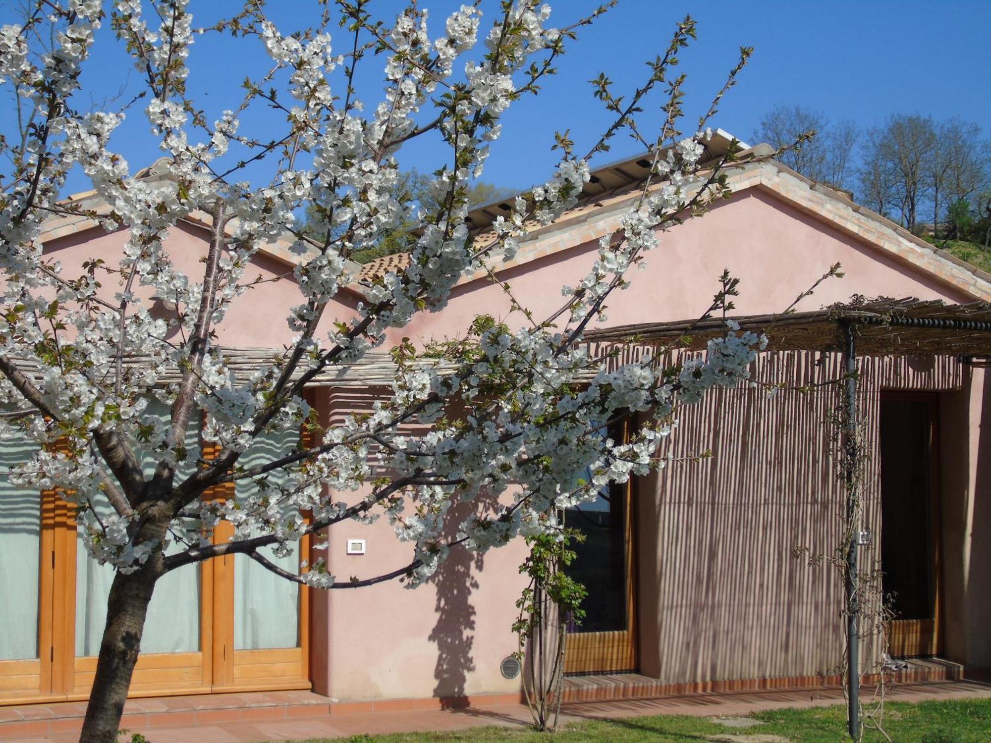 La Luna Nell'Orto-Casa Vacanza Ecologica E Agricoltura Biodinamica Villa Barchi Екстериор снимка