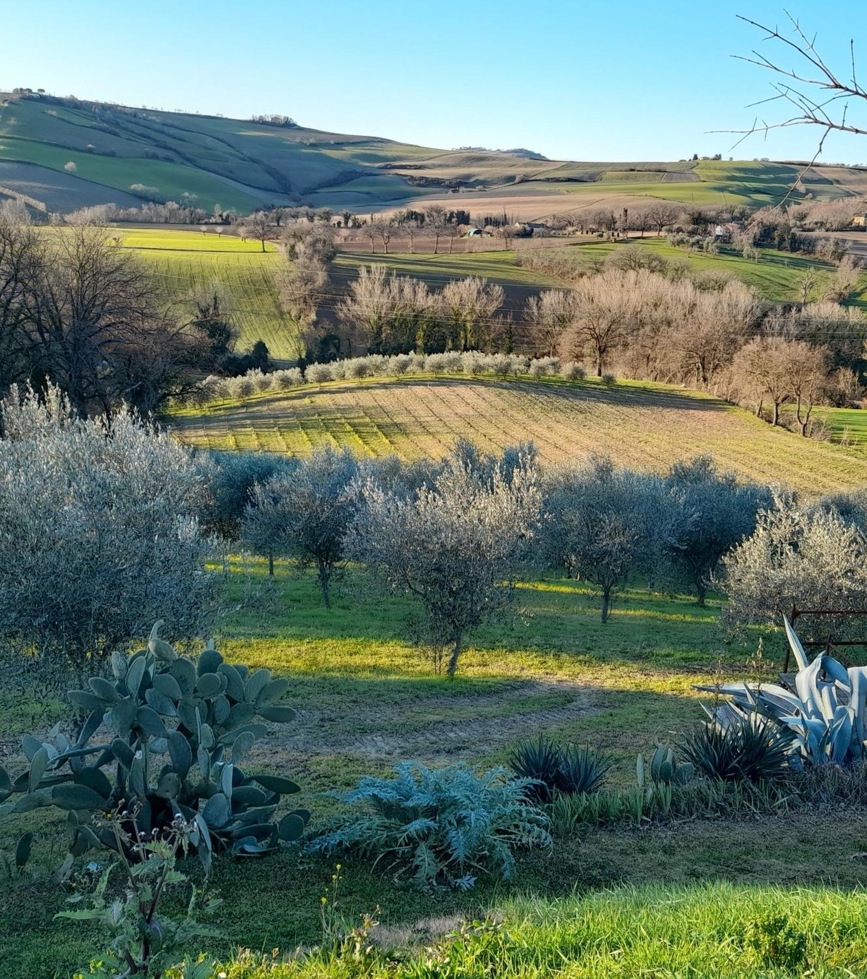 La Luna Nell'Orto-Casa Vacanza Ecologica E Agricoltura Biodinamica Villa Barchi Екстериор снимка